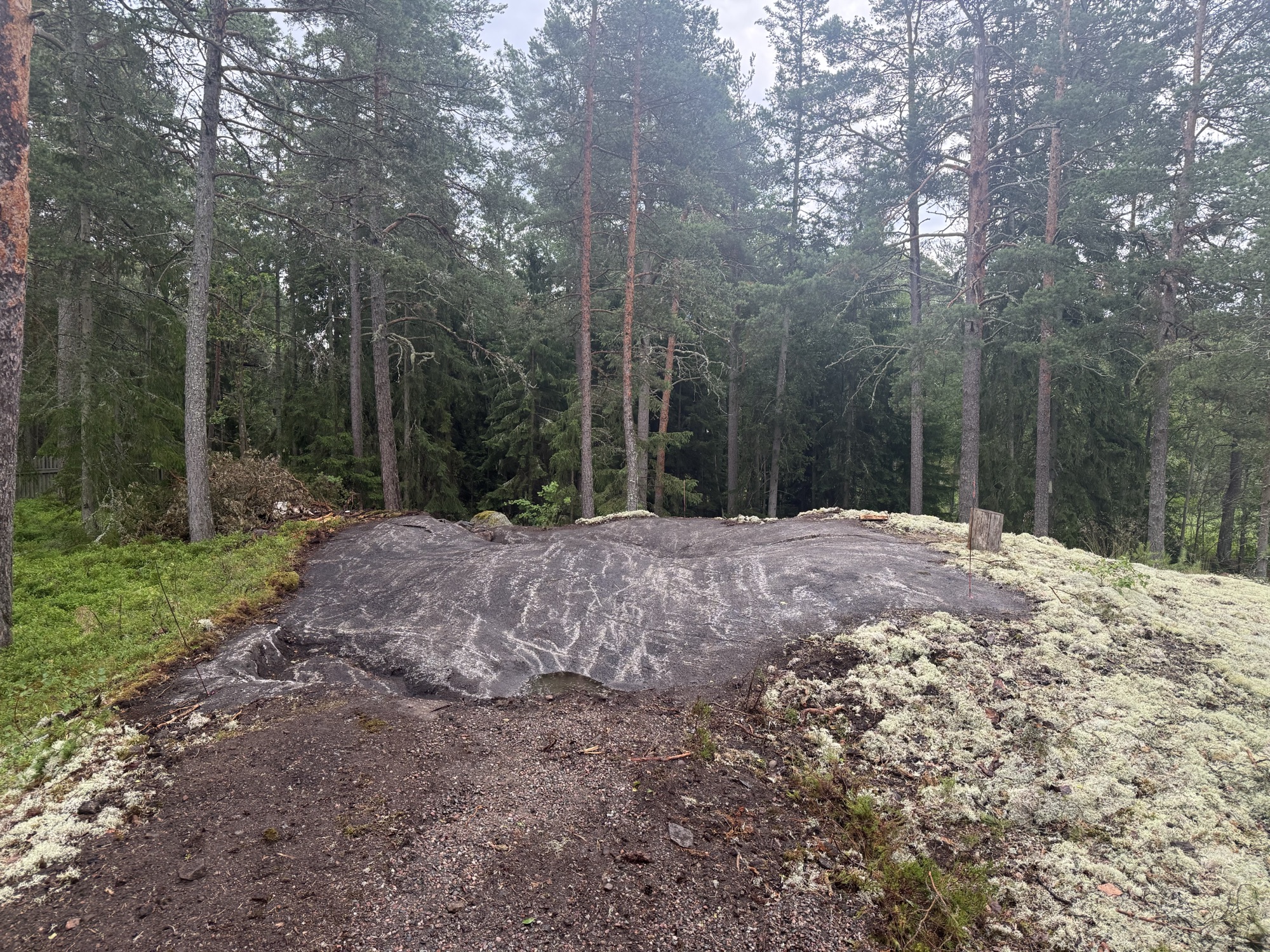 Site & Brygga